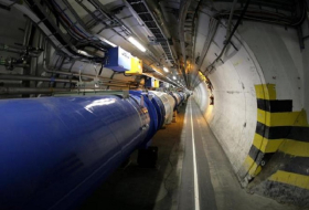 Una comadreja provoca una avería total en el LHC al morder un cable